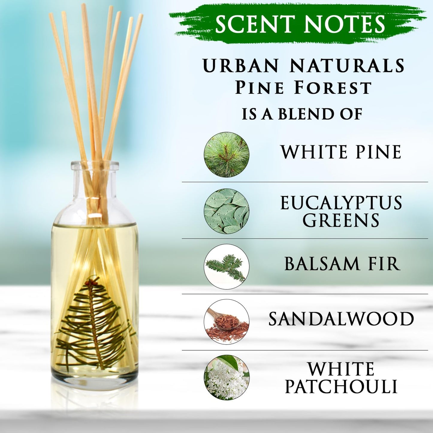 Urban Naturals Pine Forest Reed Diffuser Set - White Pine Needles, Eucalyptus and Sandalwood - Christmas Tree Scent - Holiday Decor with Real Pine Branches