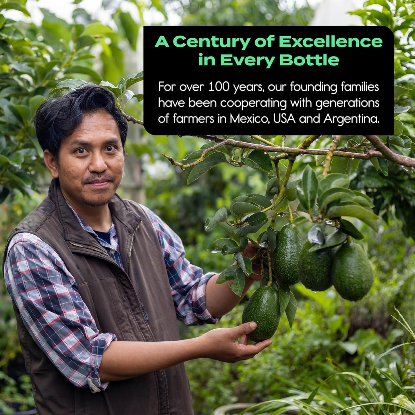 Simple Foods Avocado Oil - 100% Pure, Non-GMO, High Smoke Point, Mild Flavor 16.9 oz