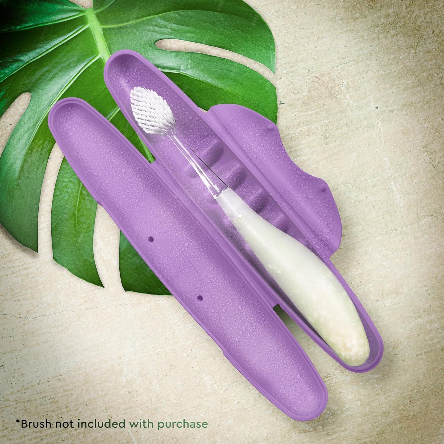 RADIUS Toothbrush Travel Case for Standard Brush, BPA-Free Recycled Plastic, Portable for Bathroom, School, Home, Camping - Lavender (FITS ALL CONVENTIONAL TOOTHBRUSH SOURCE TOOTHBRUSH)