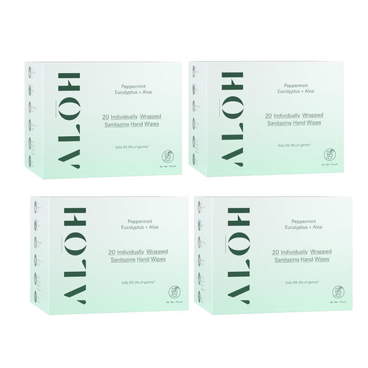 ALŌH Skin - Softening Sanitizing Hand Wipes - Peppermint Eucalyptus + Aloe (4 Boxes of 20 Individually Wrapped Wipes (80 wipes))