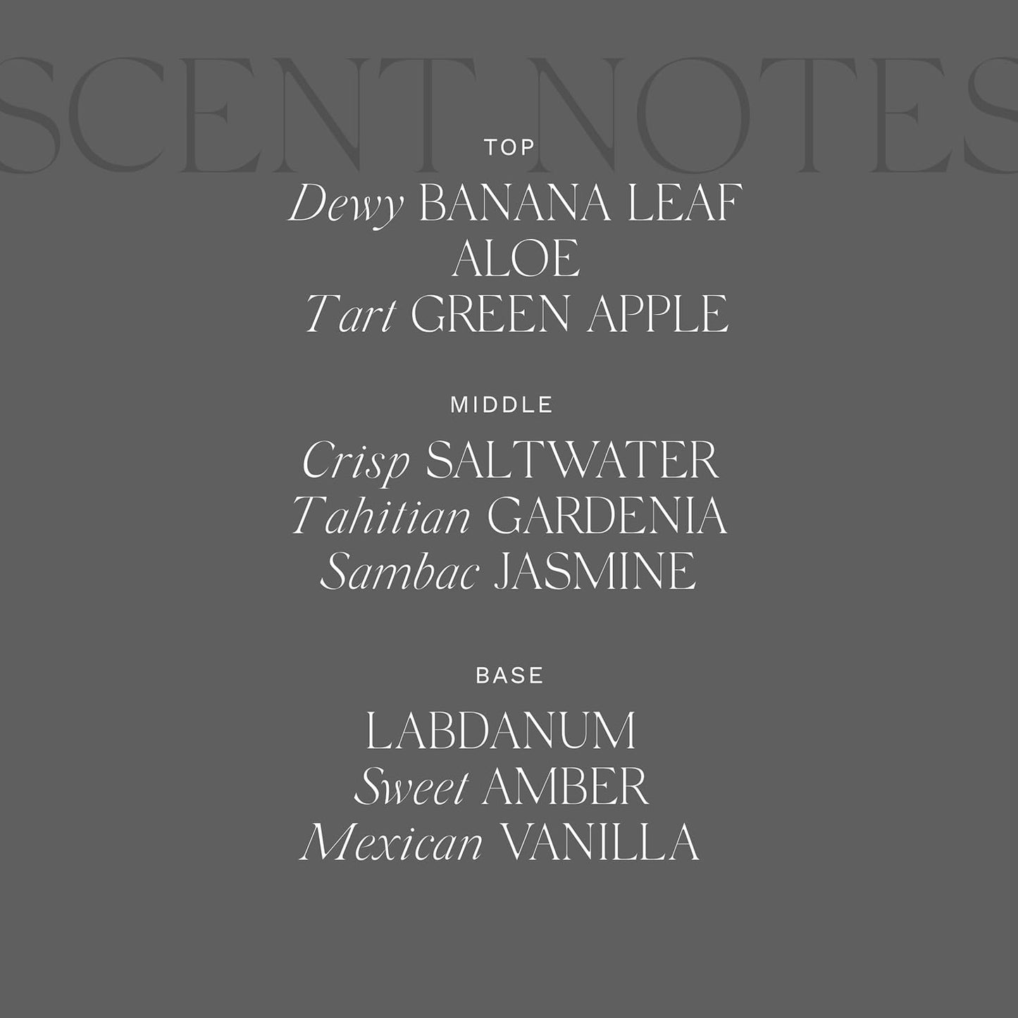 Antica Farmacista Lush Palm Bubble Bath, 16 Fl Oz