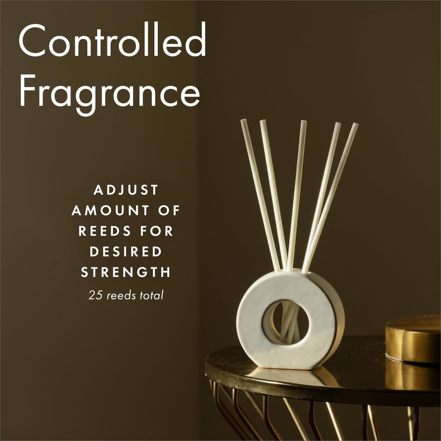 ScentAir Infused Liquidless Reeds | Includes 25 Flameless Reeds and 1 Decorative Vase, White | Essential Oil Aroma Diffuser Sticks | Fresh Spa Scents | Gifting Fragrance | Aloe Oasis