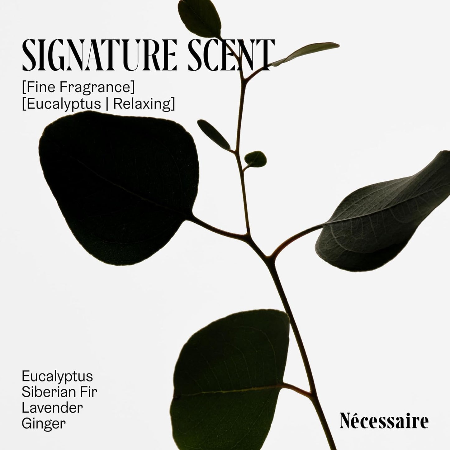 Nécessaire The Deodorant Duo Eucalyptus | Natural Aluminum Free Deodorant For Women & Men. Extra Strength Treatment with Mandelic Acid. Free of Baking Soda, Ozokerite & Parabens (75 g/2.5 oz)