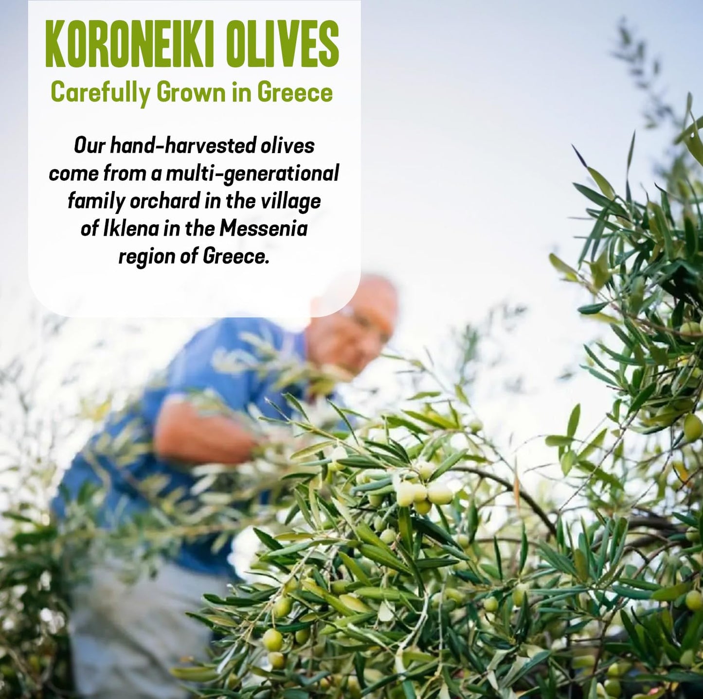 Dr. Cowan’s Garden 1000+ Polyphenol Greek Extra Virgin Olive Oil - Single Estate Extra Virgin Olive Oil with Highest Polyphenols Sourced from Koroneiki Trees, Phase 2 Organic, Cold-Pressed, 8.45 FL Oz