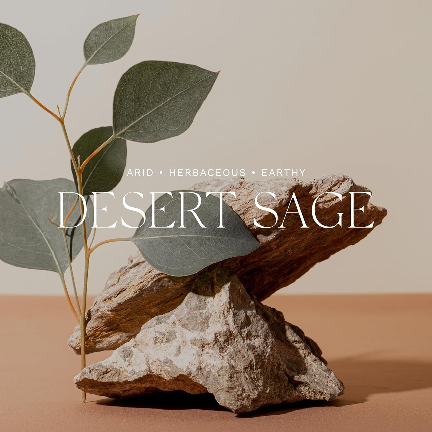 Antica Farmacista Desert Sage Bubble Bath, 16 Fl Oz