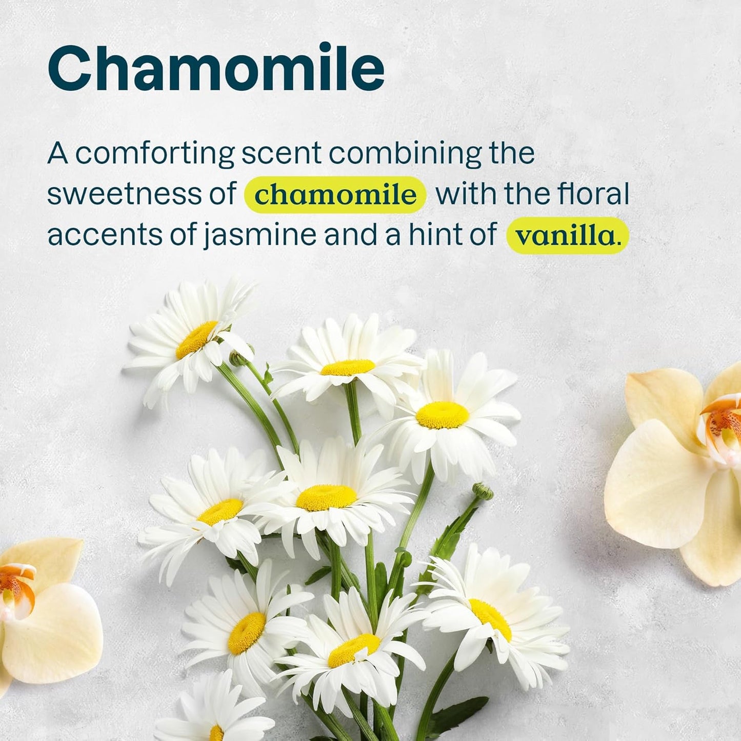 ATTITUDE Baking Soda Free Deodorant for Sensitive Skin with Oatmeal and Chamomile, EWG Verified, Aluminum Free, Plastic-Free, 3 Ounces (Pack of 6)