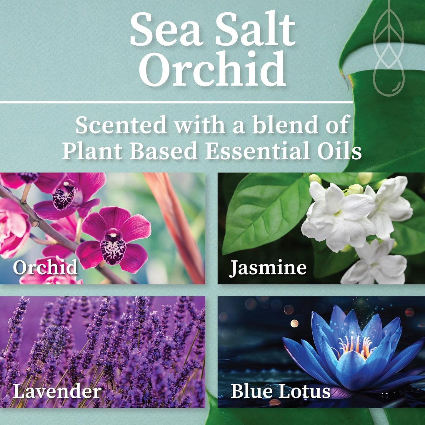 Hemlock Park Sea Salt Orchid Artisanal Spa Gift Box | Apothecary Candle, Shea Butter Soap, Bath Bomb, Mineral Salt Bath Soak | Handcrafted with Plant Based Ingredients