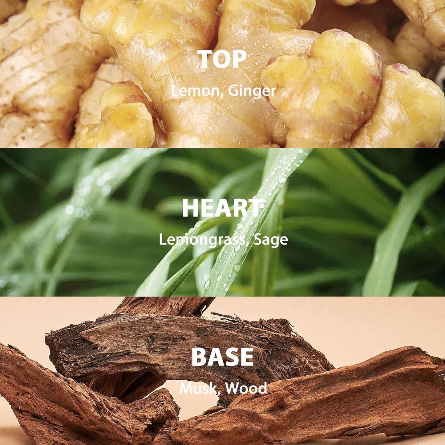 Reed Diffuser Set, 3.52 oz (100ml) Scented Diffuser with Sticks Home Fragrance Reed Diffuser for Bathroom Shelf Decor, Ideal Gift for Woman (Lemongrass Sage)