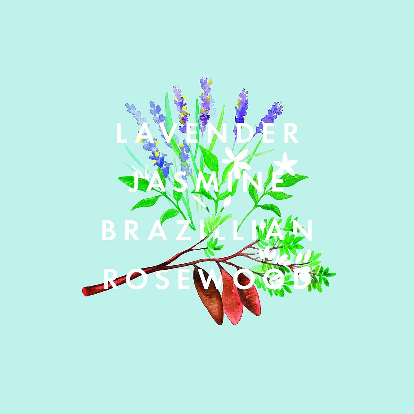 NEOM- Lavender, Jasmine & Rosewood Bath Foam, 6.76 fl oz | Real Luxury Range | Coconut & Almond Oil | Scent to De-Stress | Vegan & Cruelty Free