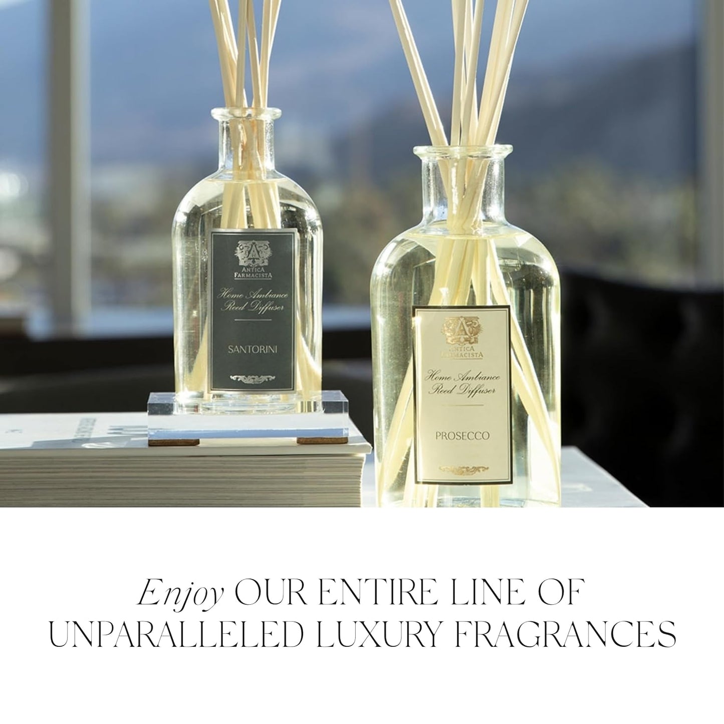 Antica Farmacista Lush Palm Bubble Bath, 16 Fl Oz