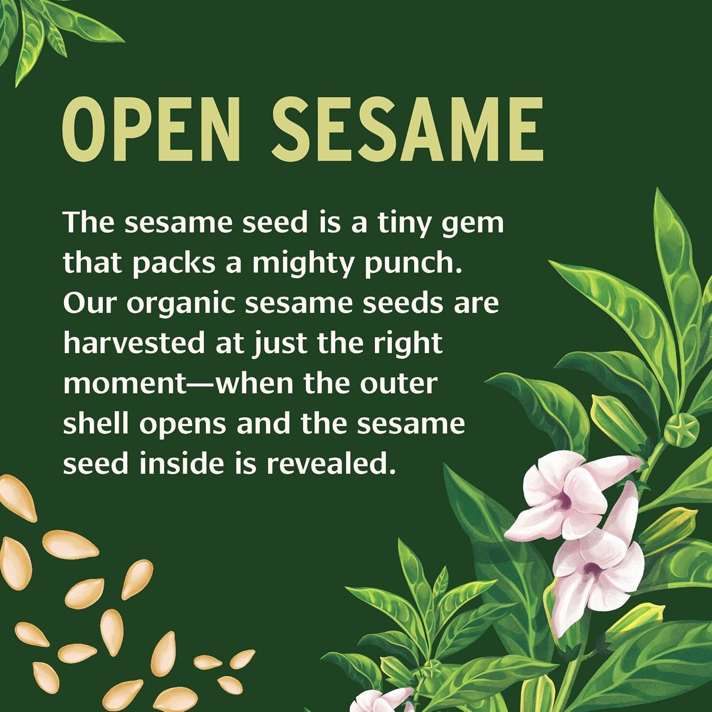 Banyan Botanicals Sesame Oil – Organic & Refined Sesame Oil for Skin, Body, Hair & More – Multiple Sizes – 16 oz – Non GMO Sustainably Sourced Vegan